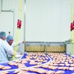 productieproces zalm invriezen