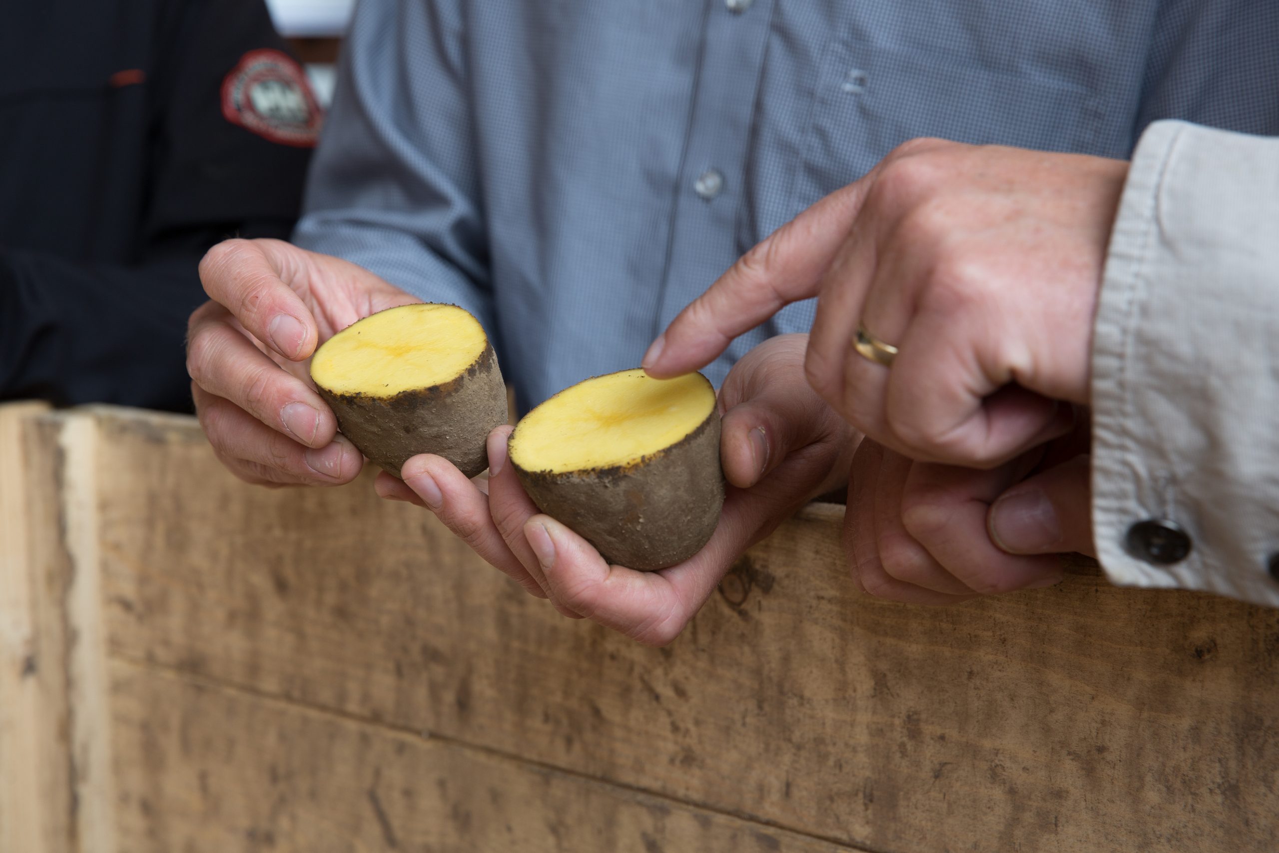 een doorgesneden aardappel om de kwaliteit te bekijken