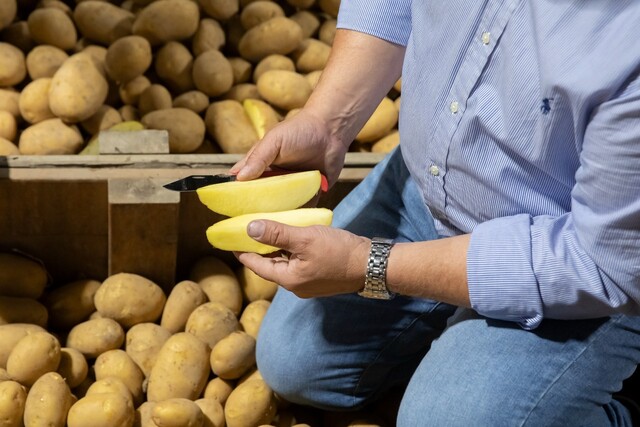 doorgesneden aardappel